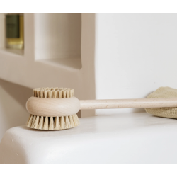 Brush for back and body