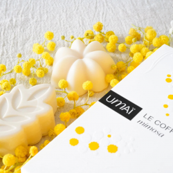 Coffret Mimosa