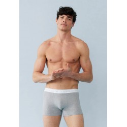 Boxer gris en coton