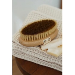 Brosse à sec énergisante ionique