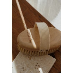 Ionic energizing dry brush