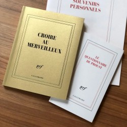 Carnet coloré - Gallimard