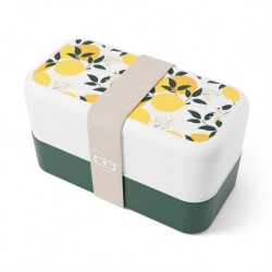 Lemon lunch box