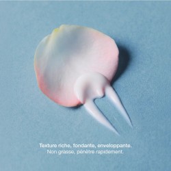 Crème visage repulpante