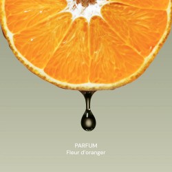 Eco-recharge liquide vaisselle bio