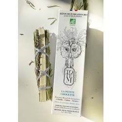 Petit bouquet de...