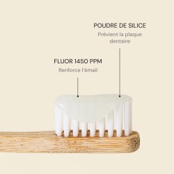 Mild Mint Toothpaste