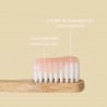 dentifrice made in france