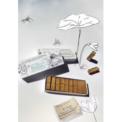 Natural Mosquito-Repellent Incense