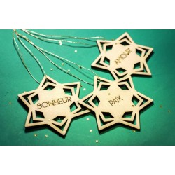 Personalize your Christmas star - Until November 25th only!