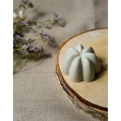 Shampoing solide rééquilibrant (détox)