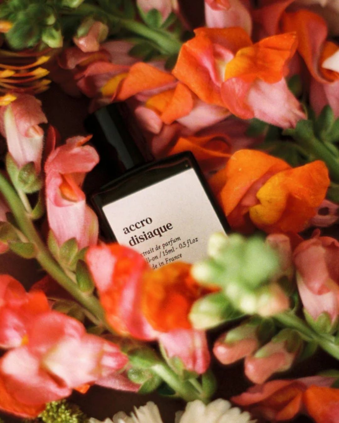 Photo l'Atelier Français