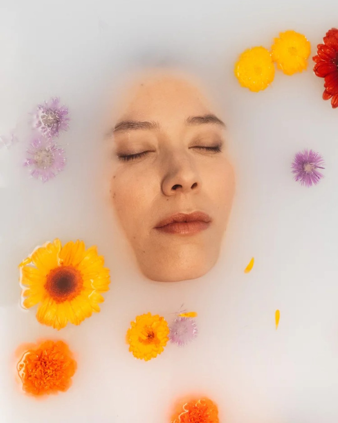 Photo l'Atelier Français